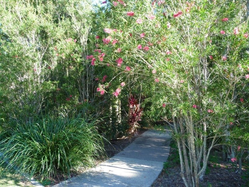 27 Lacebark Street, Meridan Plains QLD 4551