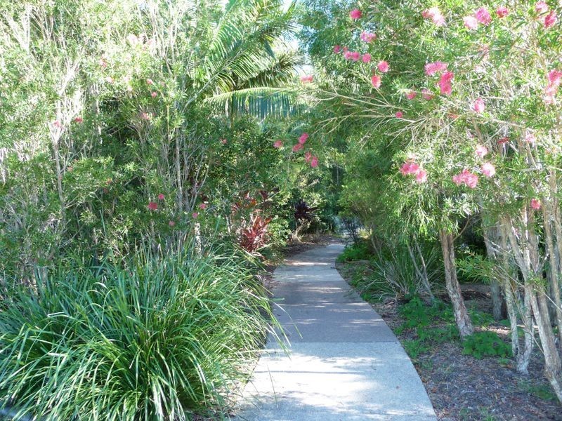8 Carbeen Street, Meridan Plains QLD 4551