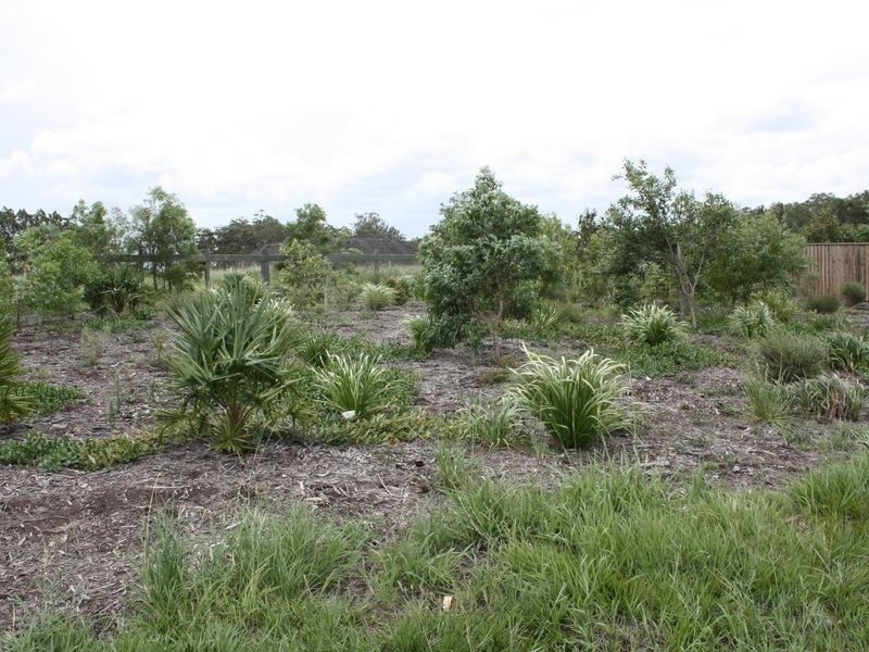 6 Rapanea Street, Caloundra QLD 4551