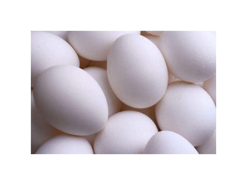 Airport West VIC 3042