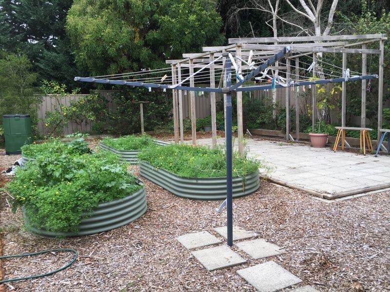 43 Robinson Street, Pemberton WA 6260