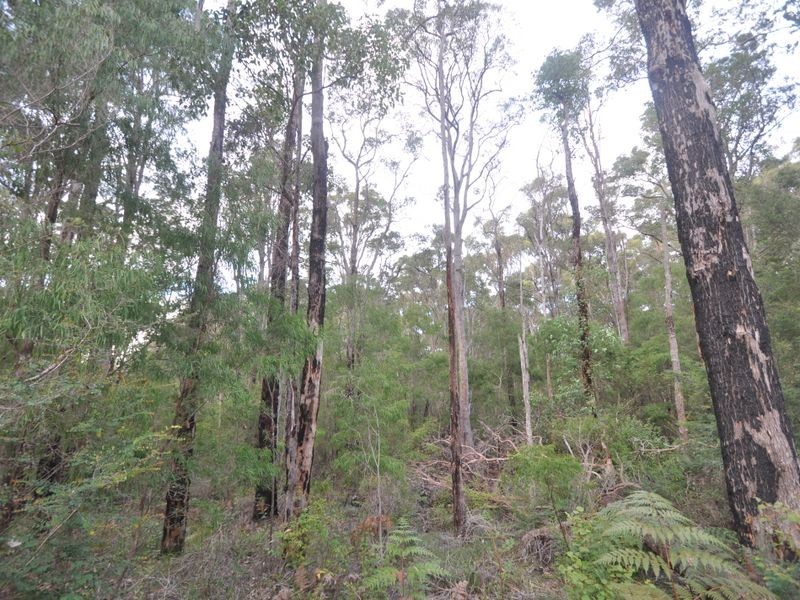 17 Ditri Court, Pemberton WA 6260