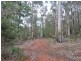 17 Ditri Court, Pemberton WA 6260