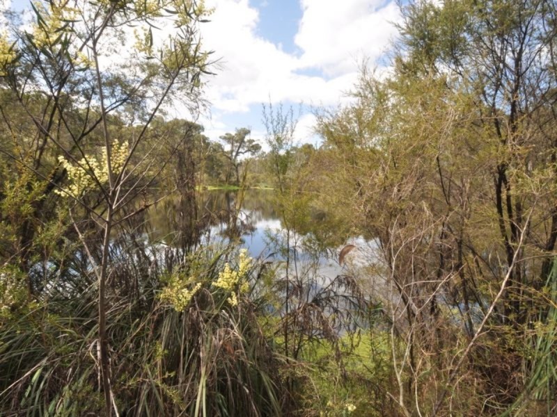 631 Tattenham Road, Northcliffe WA 6262