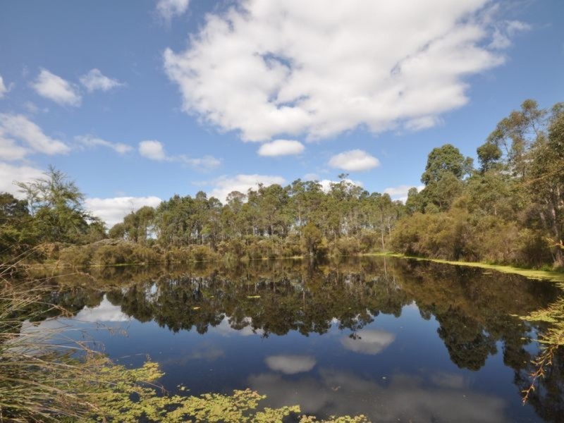 631 Tattenham Road, Northcliffe WA 6262