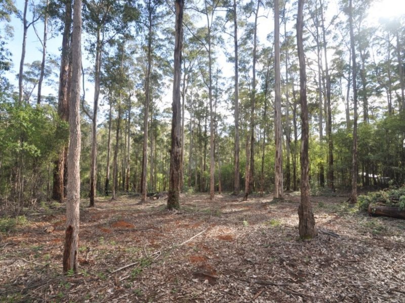 Lot 89 Karri Lane, Quinninup WA 6258