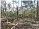 Lot 89 Karri Lane, Quinninup WA 6258