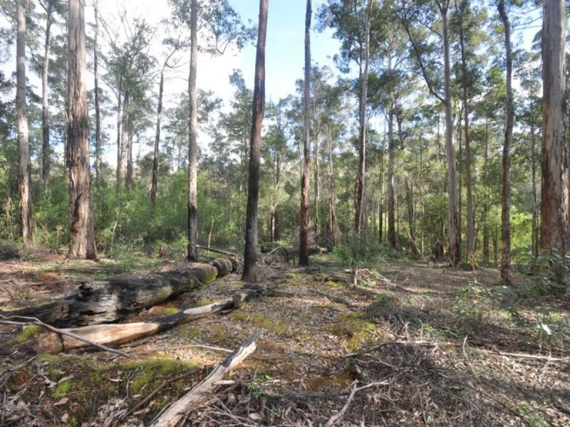 Lot 89 Karri Lane, Quinninup WA 6258