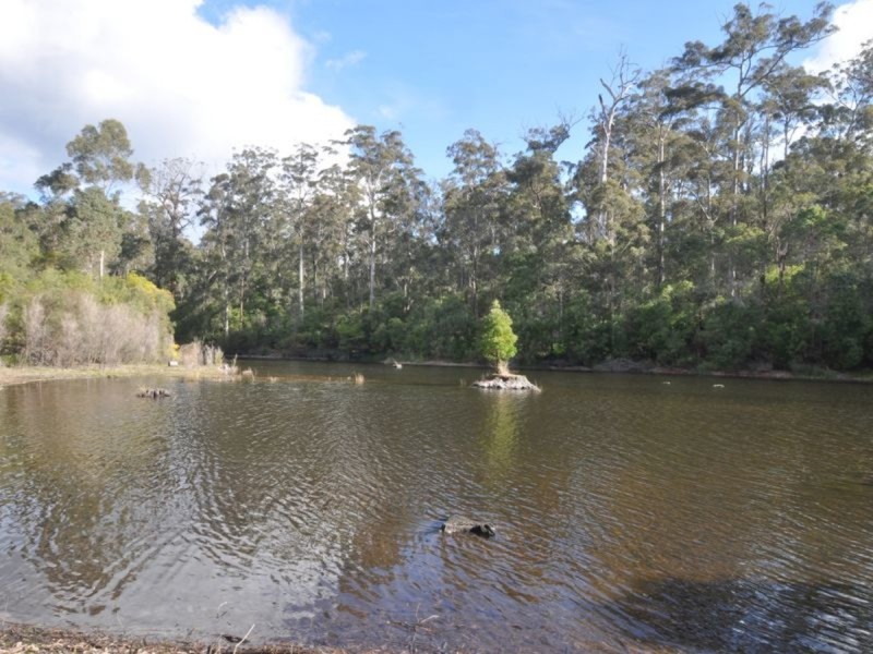 Lot 89 Karri Lane, Quinninup WA 6258