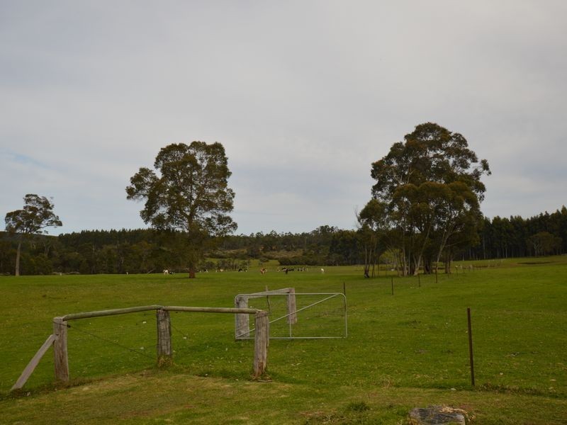 319 Gardiner Road, Walpole WA 6398