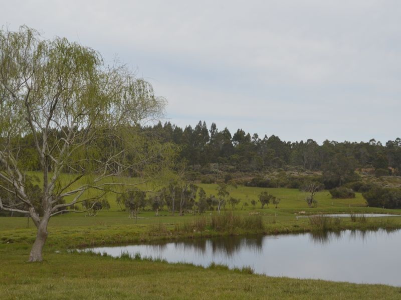 319 Gardiner Road, Walpole WA 6398