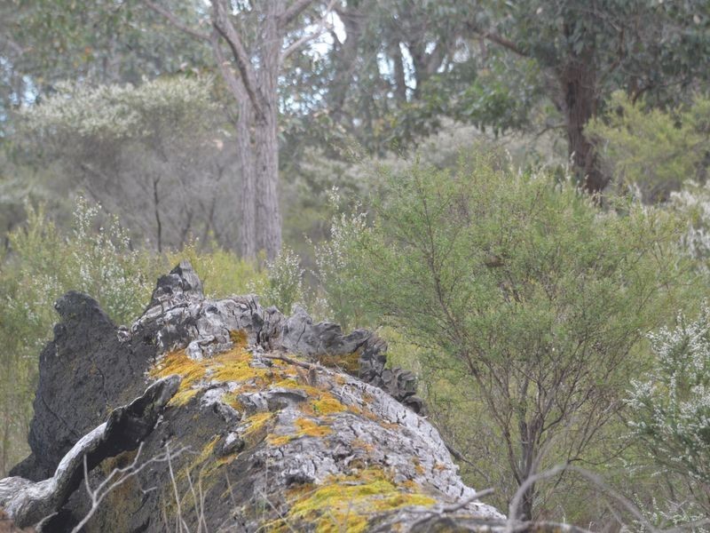 1149 North Walpole Road, Walpole WA 6398