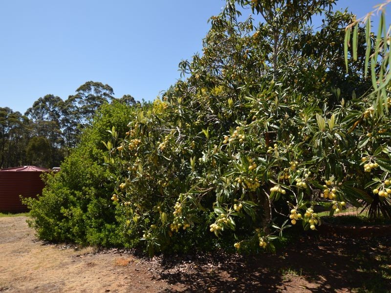 41 Mill Road, Northcliffe WA 6262