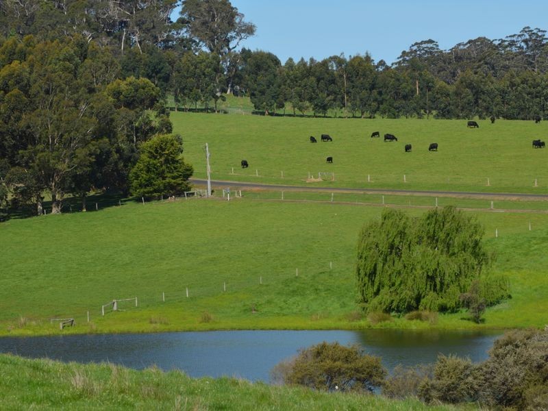 346 Jacksonii Avenue, Walpole WA 6398