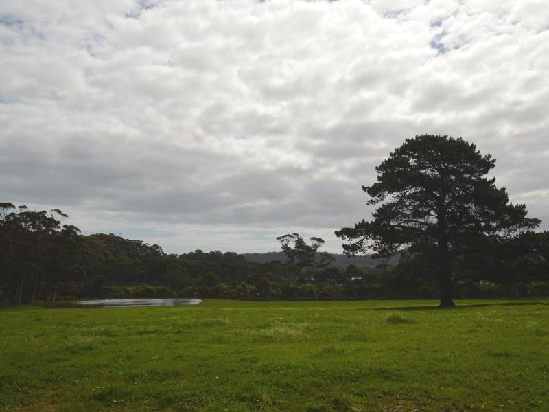 38491 South Western Highway, Walpole WA 6398