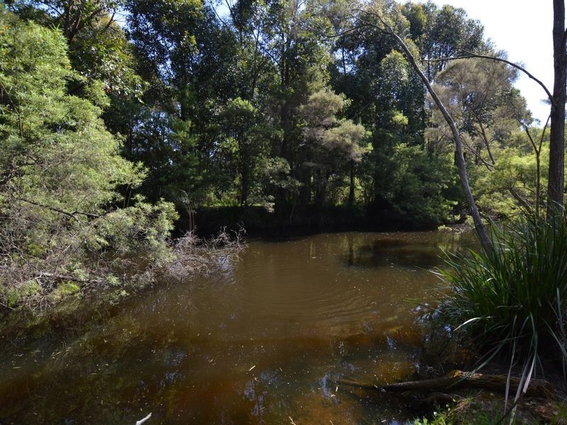 522 Pemberton-Northcliffe Road, Pemberton WA 6260