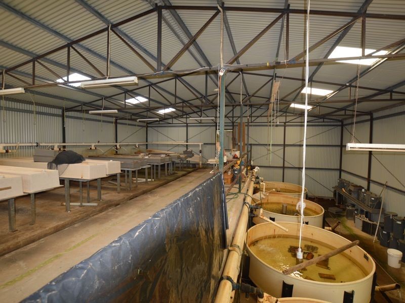 522 Pemberton-Northcliffe Road, Pemberton WA 6260