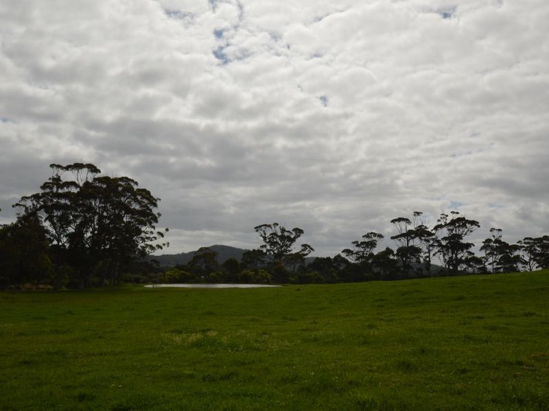 Lot 12/38491 South Western Highway (Broke Inlet), Walpole WA 6398