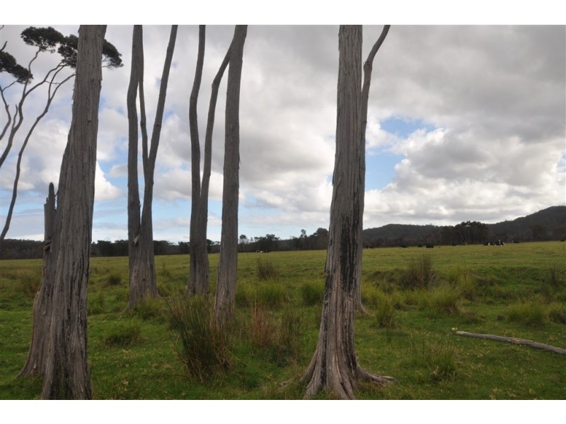 Lot 12/38491 South Western Highway (Broke Inlet), Walpole WA 6398