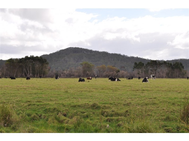 Lot 12/38491 South Western Highway (Broke Inlet), Walpole WA 6398