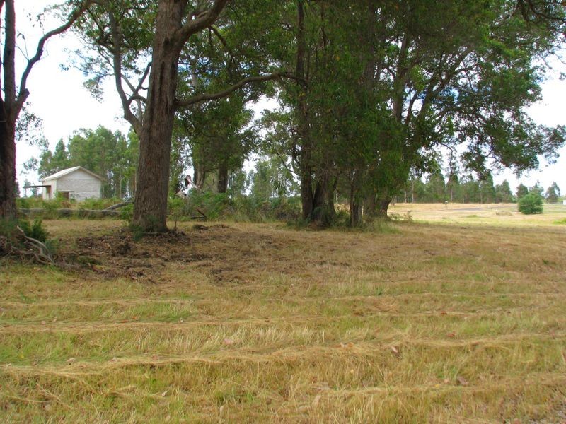 Lot 41 Quenda Drive, Northcliffe WA 6262