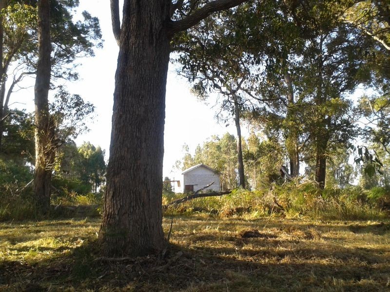 Lot 41 Quenda Drive, Northcliffe WA 6262