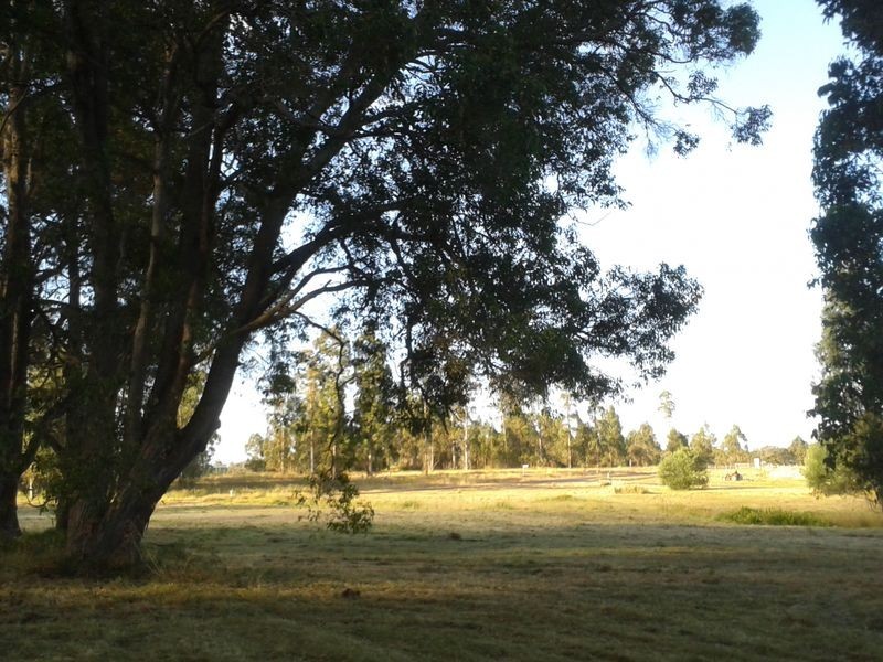 Lot 41 Quenda Drive, Northcliffe WA 6262