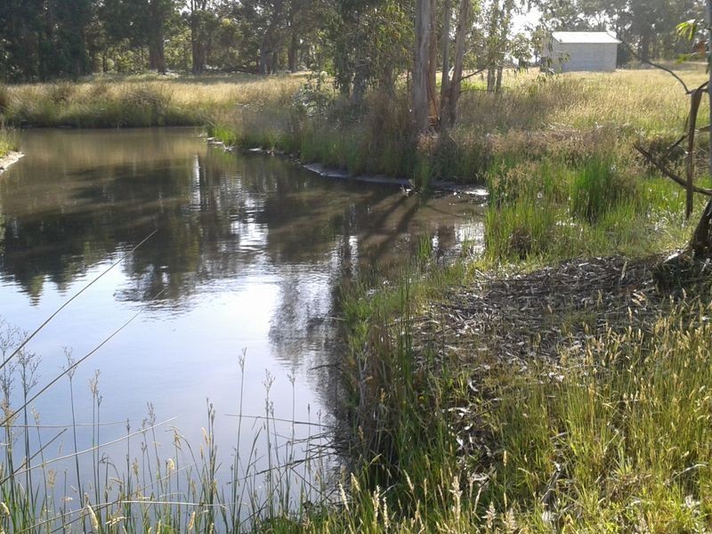 Lot 41 Quenda Drive, Northcliffe WA 6262