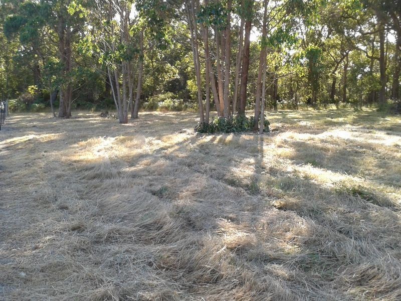 Lot 41 Quenda Drive, Northcliffe WA 6262