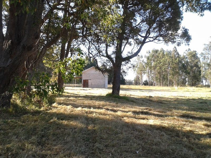 Lot 41 Quenda Drive, Northcliffe WA 6262