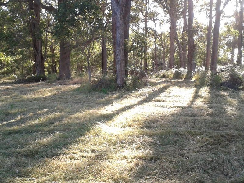 Lot 41 Quenda Drive, Northcliffe WA 6262