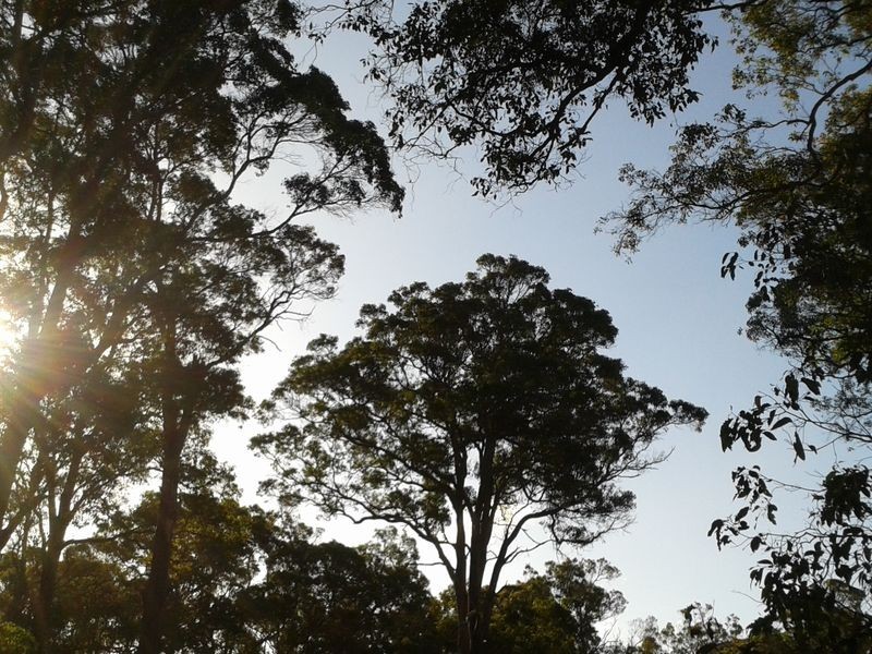 Lot 41 Quenda Drive, Northcliffe WA 6262