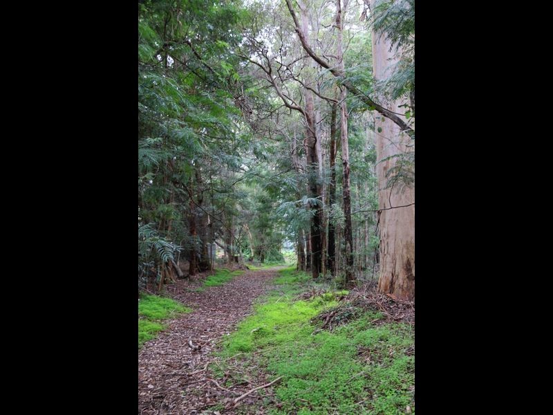 12928 Vasse Hwy, Pemberton WA 6260