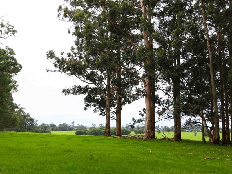 12928 Vasse Hwy, Pemberton WA 6260