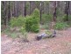 Lot 102 Plackett Drive, Pemberton WA 6260