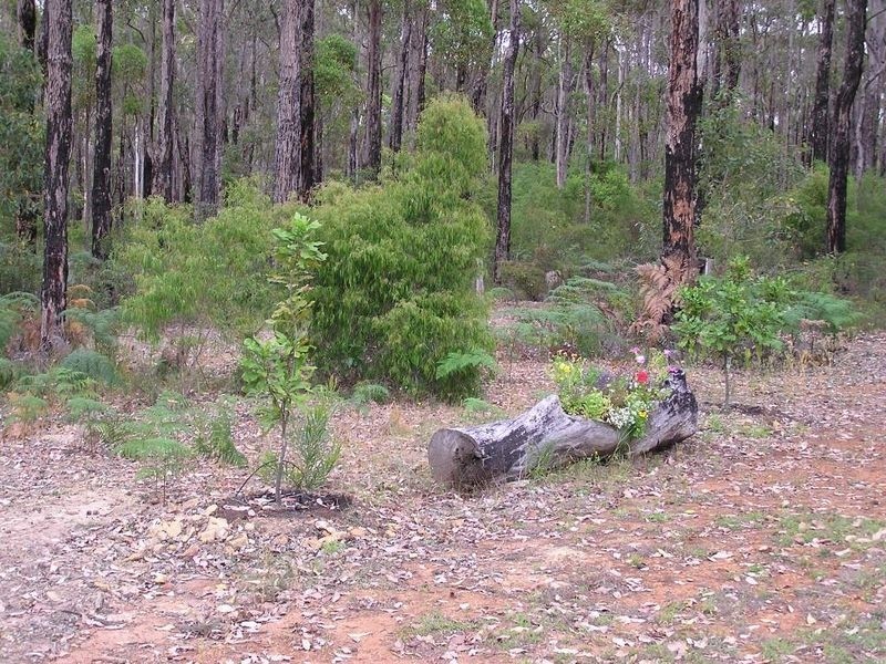 Lot 102 Plackett Drive, Pemberton WA 6260
