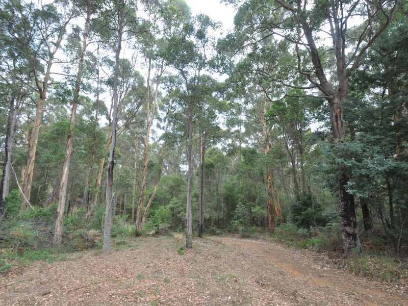 Lot 1 Dean Street, Pemberton WA 6260