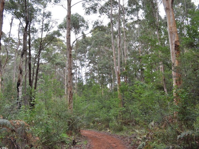 Lot 1 Dean Street, Pemberton WA 6260