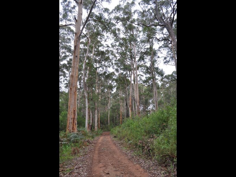 Lot 1 Dean Street, Pemberton WA 6260