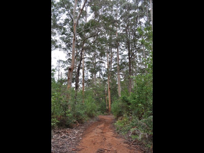 Lot 1 Dean Street, Pemberton WA 6260