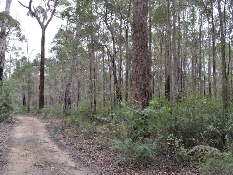 Lot 1 Dean Street, Pemberton WA 6260