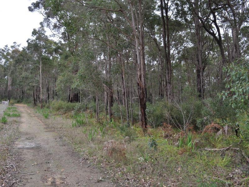 Lot 1 Dean Street, Pemberton WA 6260