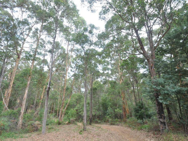 Lot 1 Dean Street, Pemberton WA 6260
