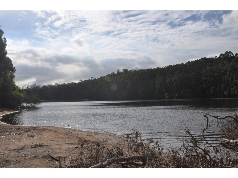 Lot 143 Karri Lane, Quinninup WA 6258