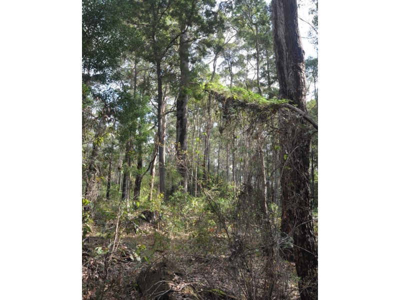 Lot 143 Karri Lane, Quinninup WA 6258