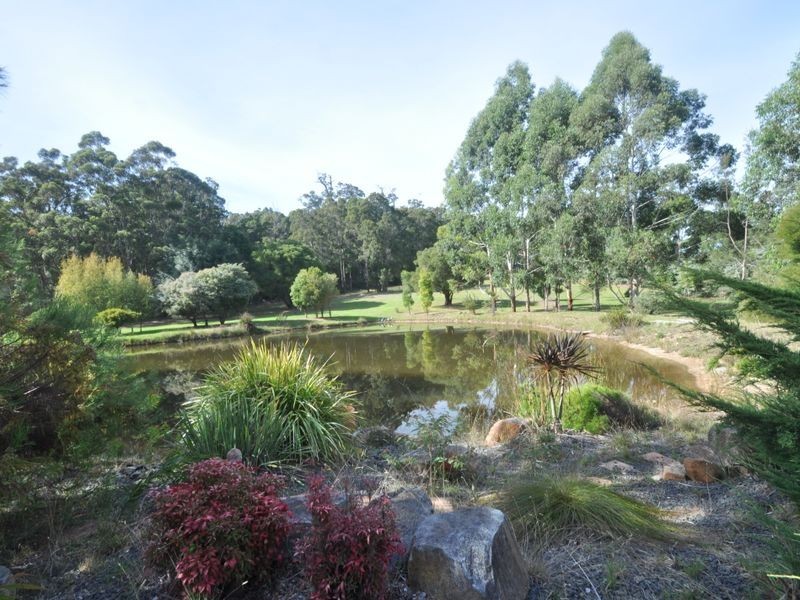 379 Green Road, Pemberton WA 6260