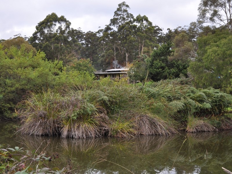 107 Burma Road, Pemberton WA 6260