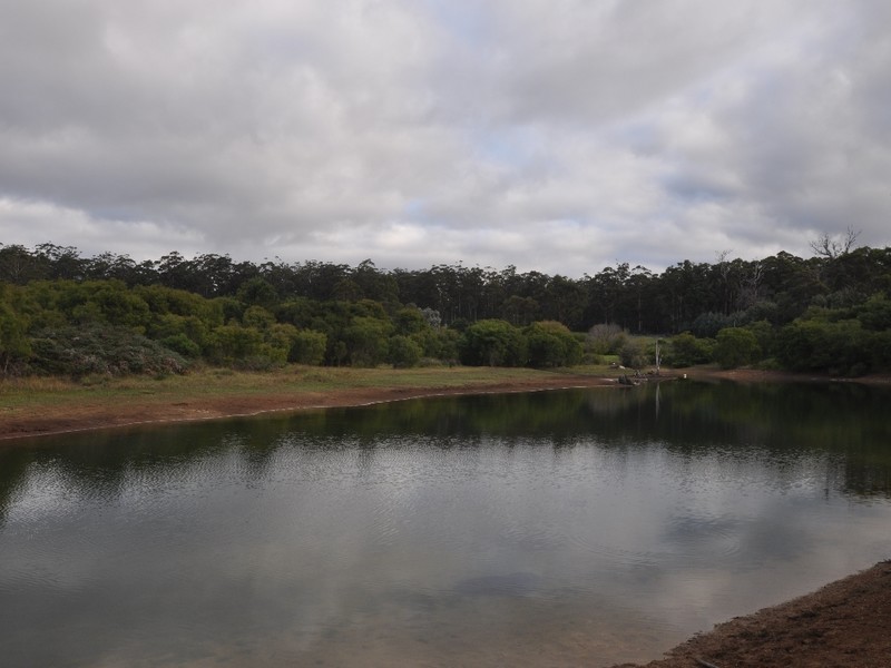 107 Burma Road, Pemberton WA 6260