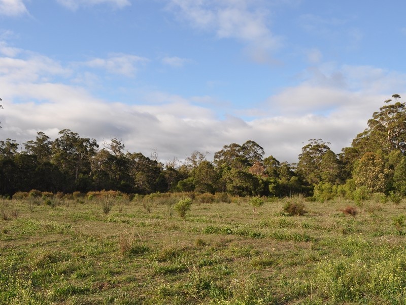 107 Burma Road, Pemberton WA 6260