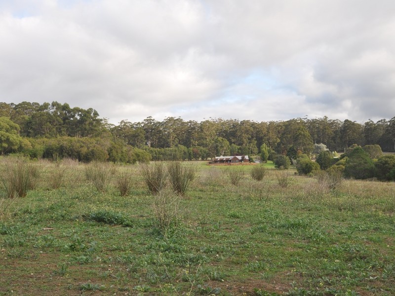 107 Burma Road, Pemberton WA 6260